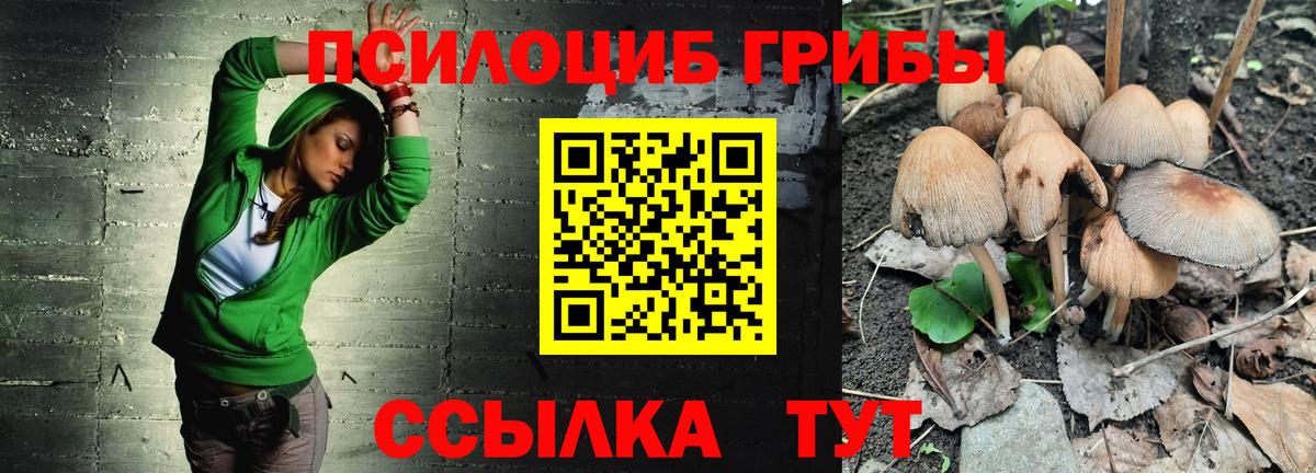 Псилоцибиновые грибы MAGIC MUSHROOMS Сосновоборск