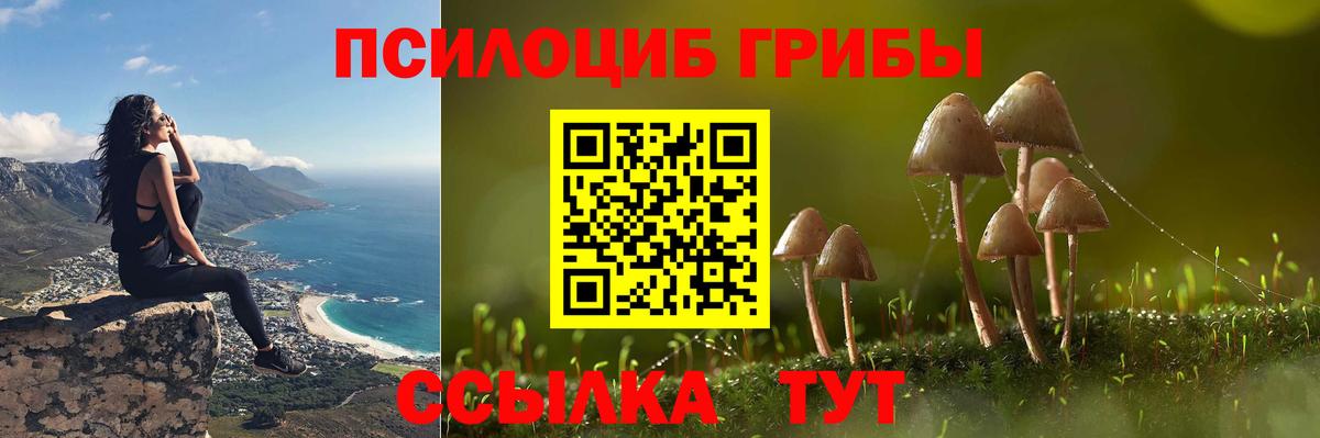 даркнет сайт  Галлюциногенные грибы Magic Shrooms  Вход с VPN  Псилоцибиновые грибы мухоморы  Сосновоборск 